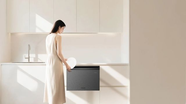 正在迎来技术大爆发时代！麻将胡了2试玩洗碗机行业(图6)