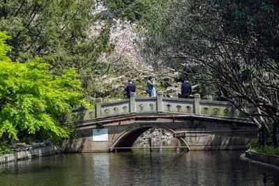 舍售楼处电话：项目地址@最新房价麻将胡了甄选好房@静安万科中兴傲(图8)
